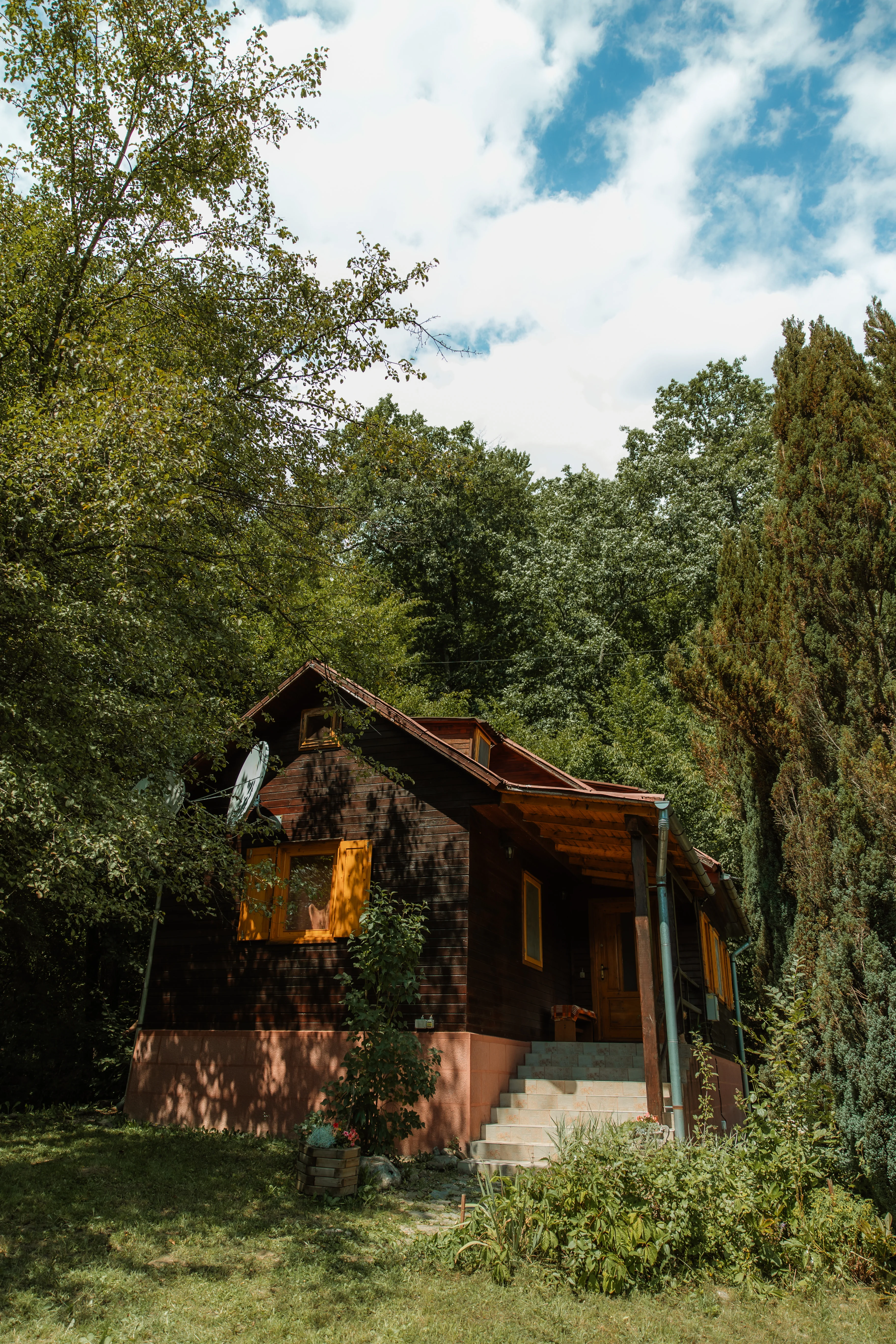 Cabana Rustică - Fotografie 4