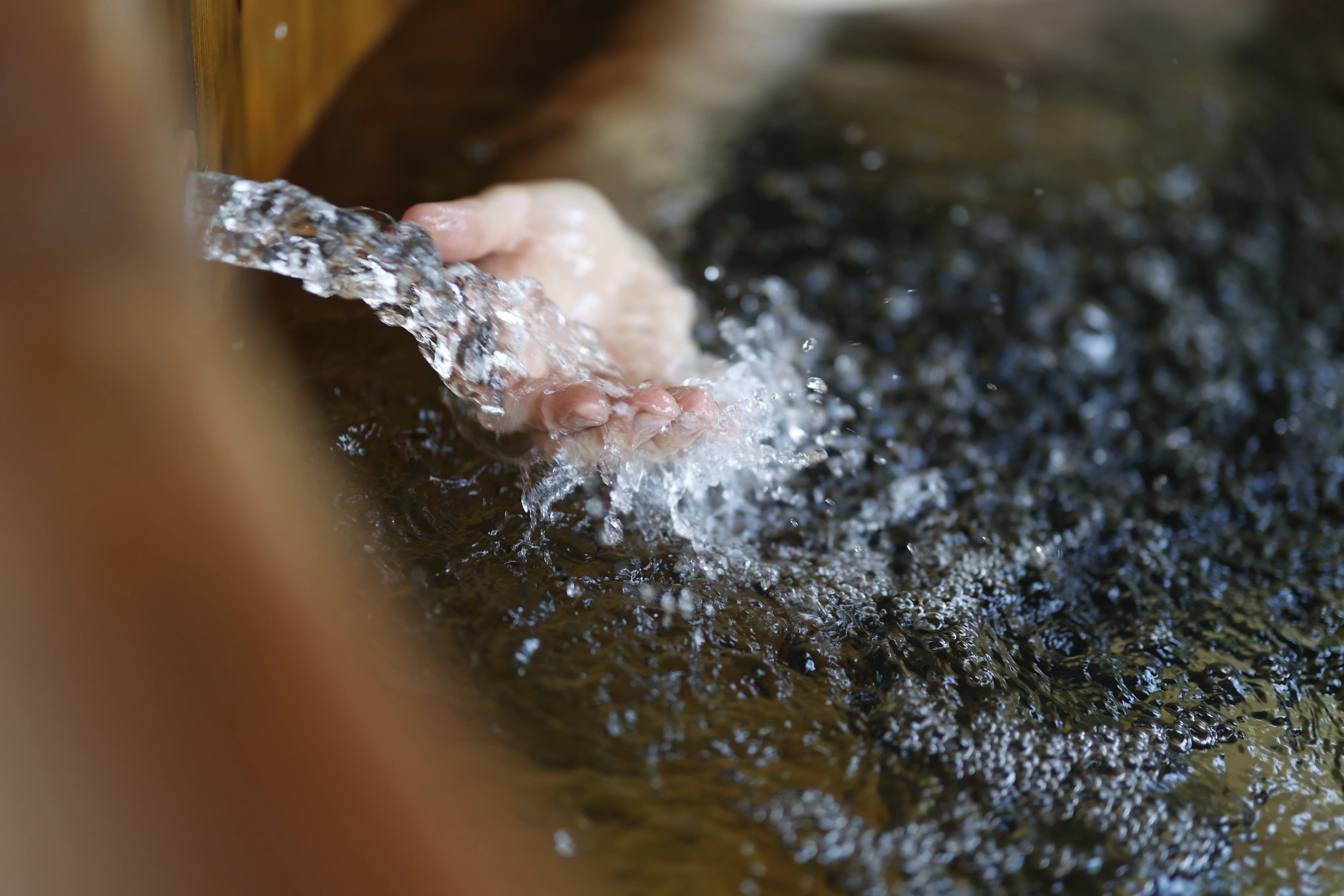 Cabana Rustică - Fotografie 31