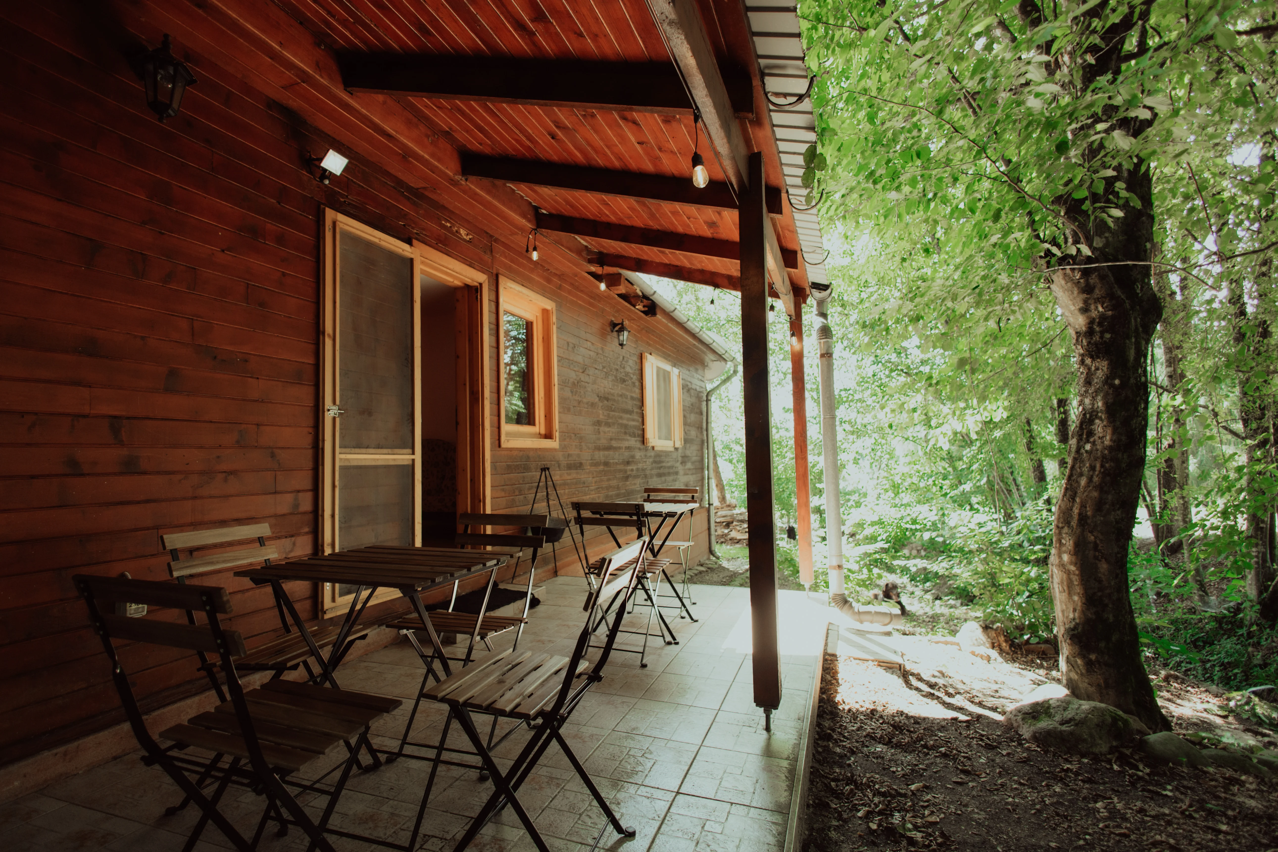 Cabana Rustică - Fotografie 35