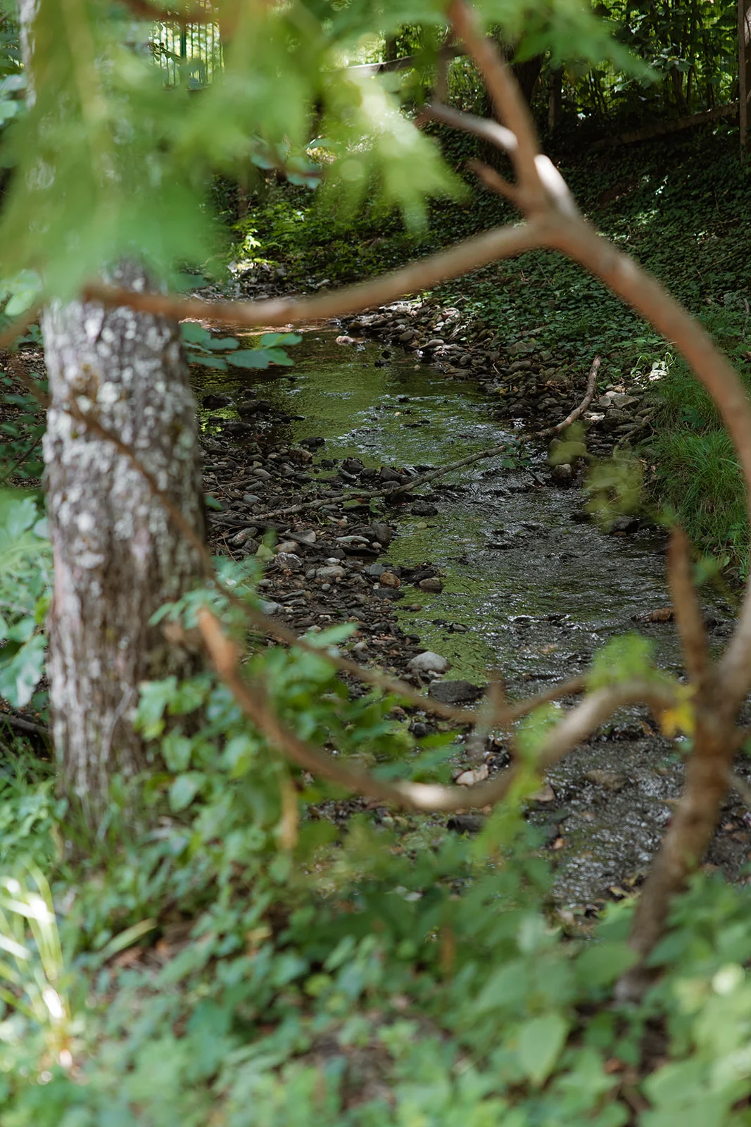 Cabana Rustică - Fotografie 50
