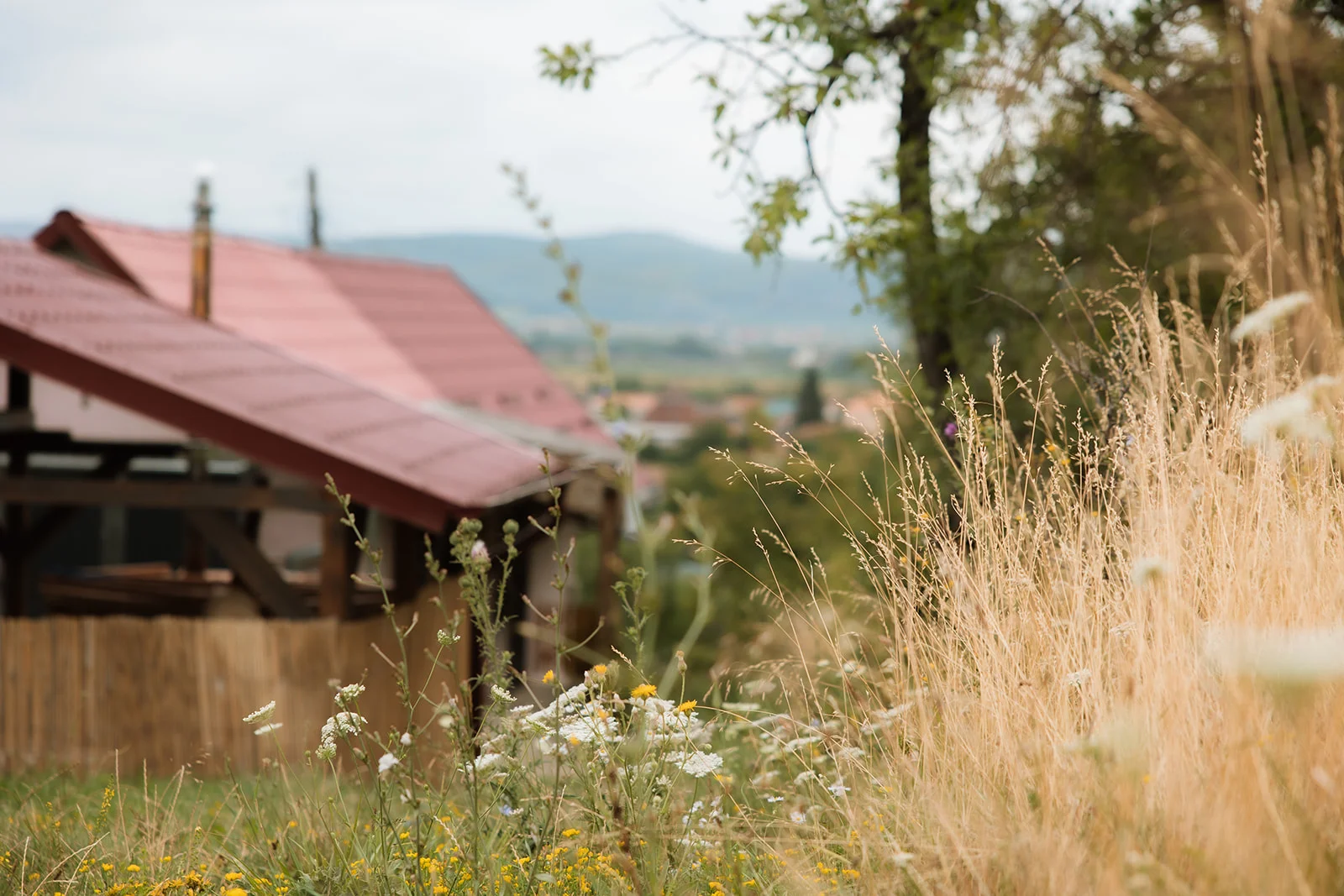 Casa Panorama - Fotografie 22