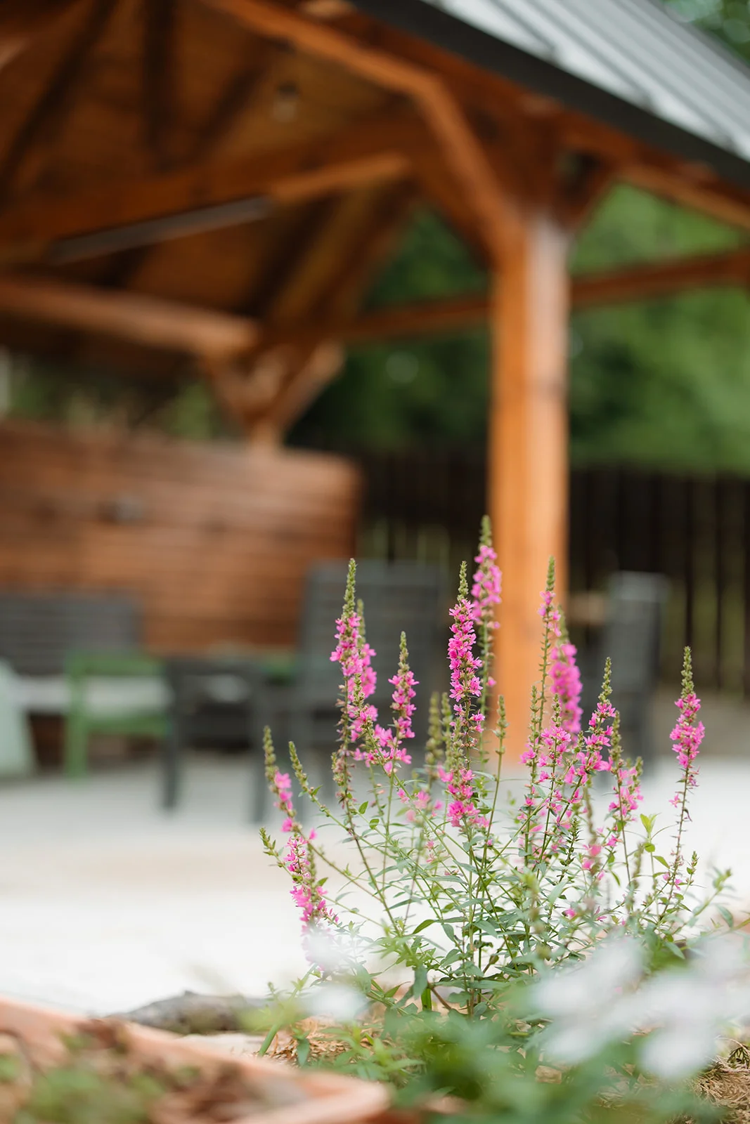 La Pomme - Fotografie 39