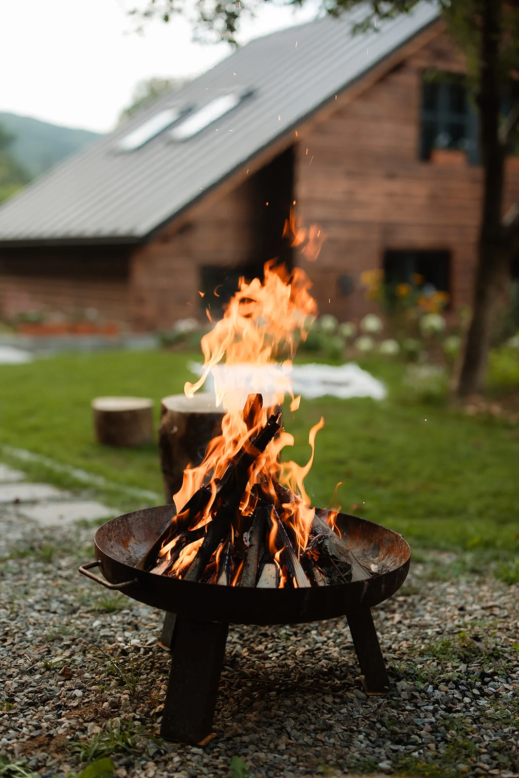 La Pomme - Fotografie 40