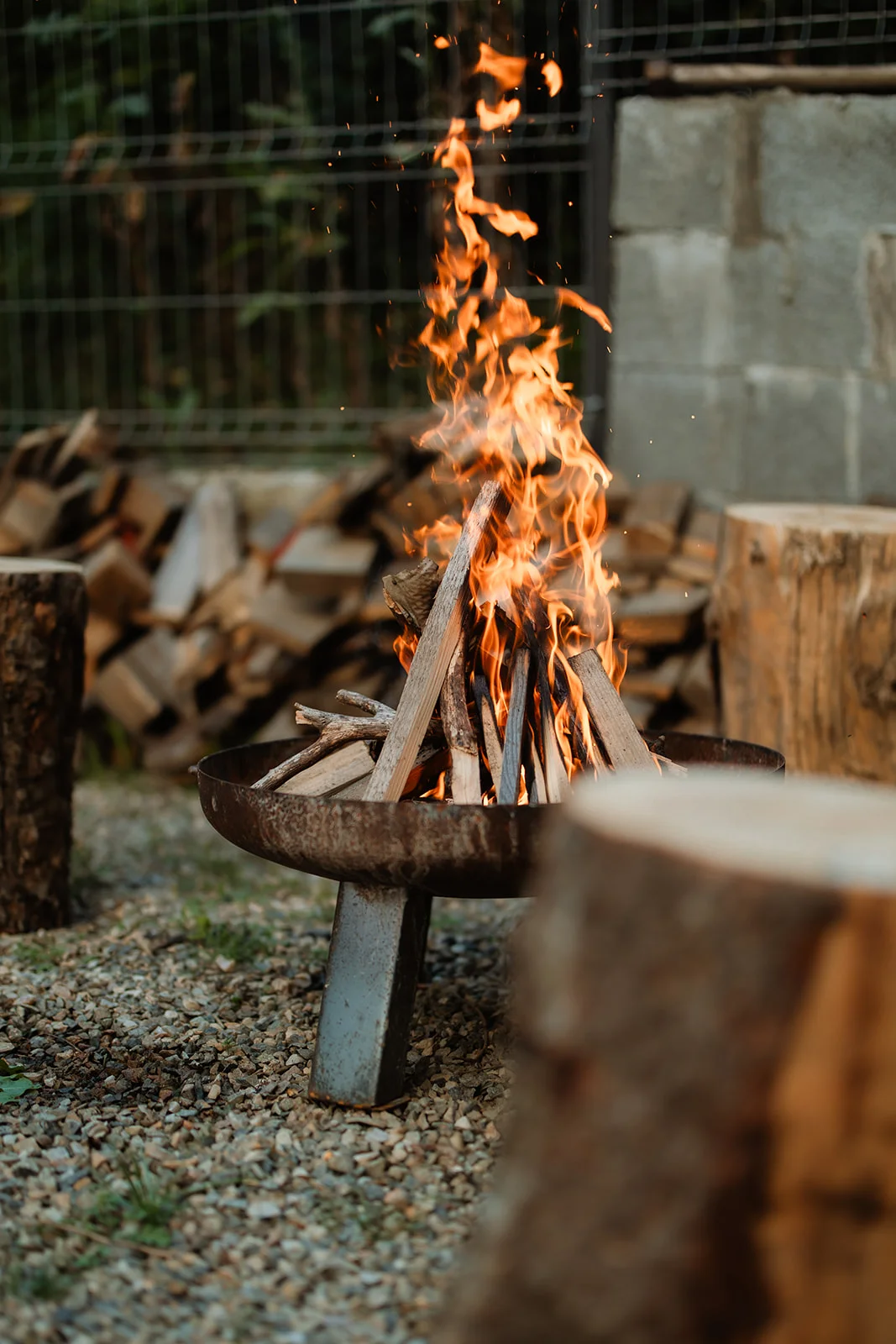 La Pomme - Fotografie 41