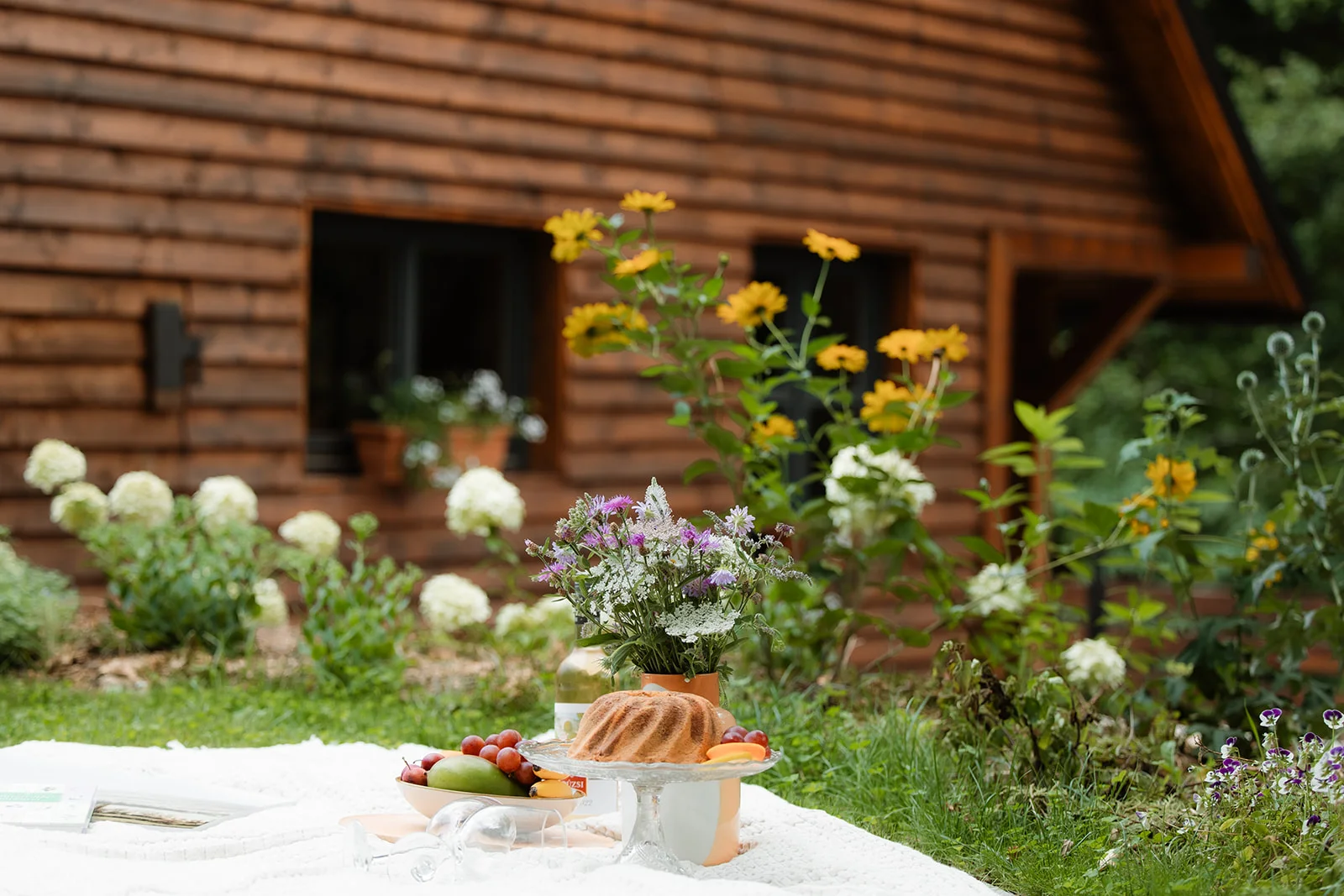 La Pomme - Fotografie 45