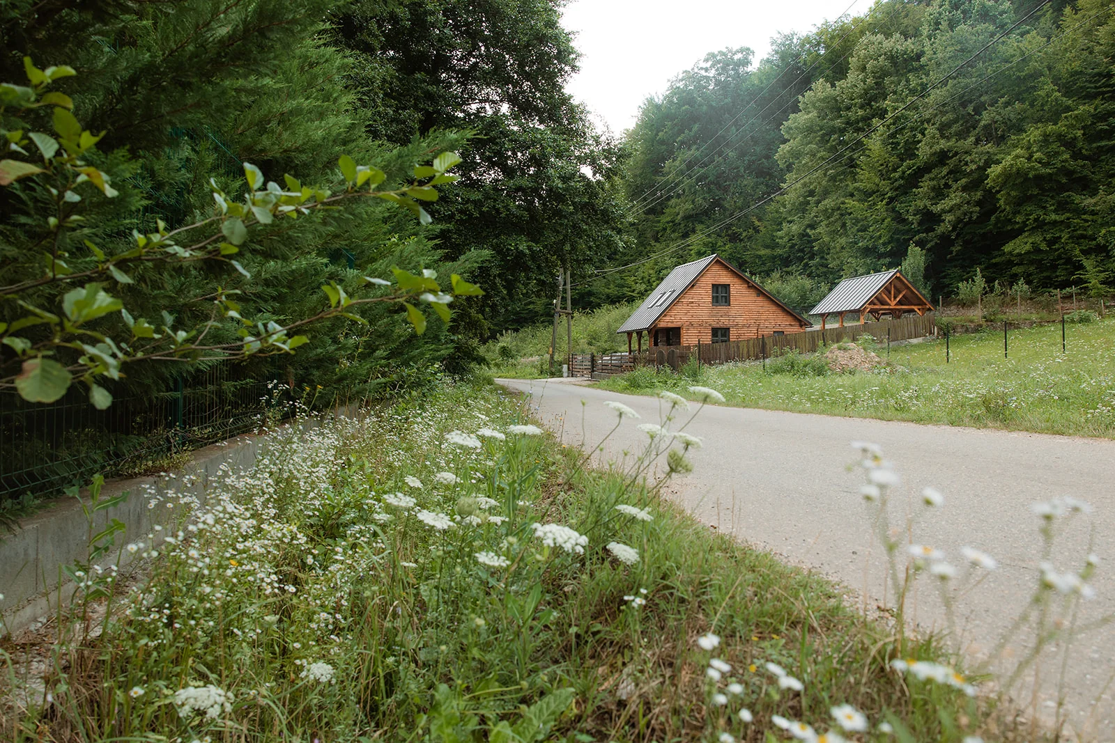 La Pomme - Fotografie 47