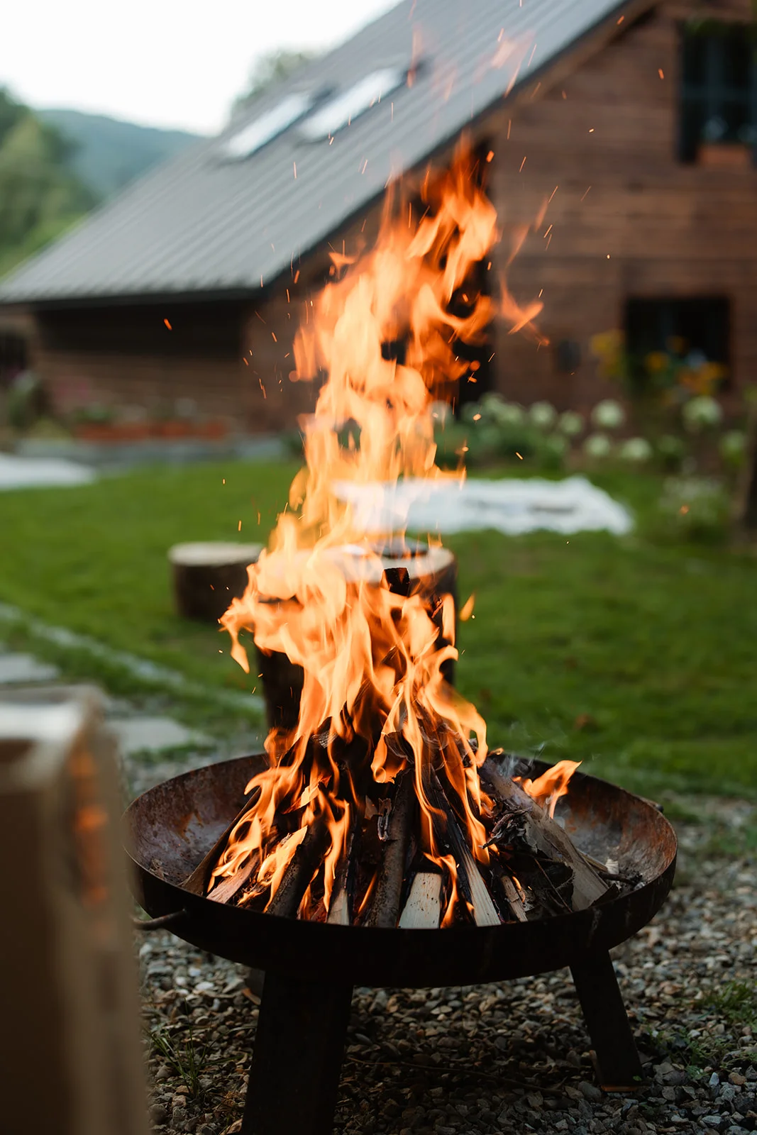 La Pomme - Fotografie 57