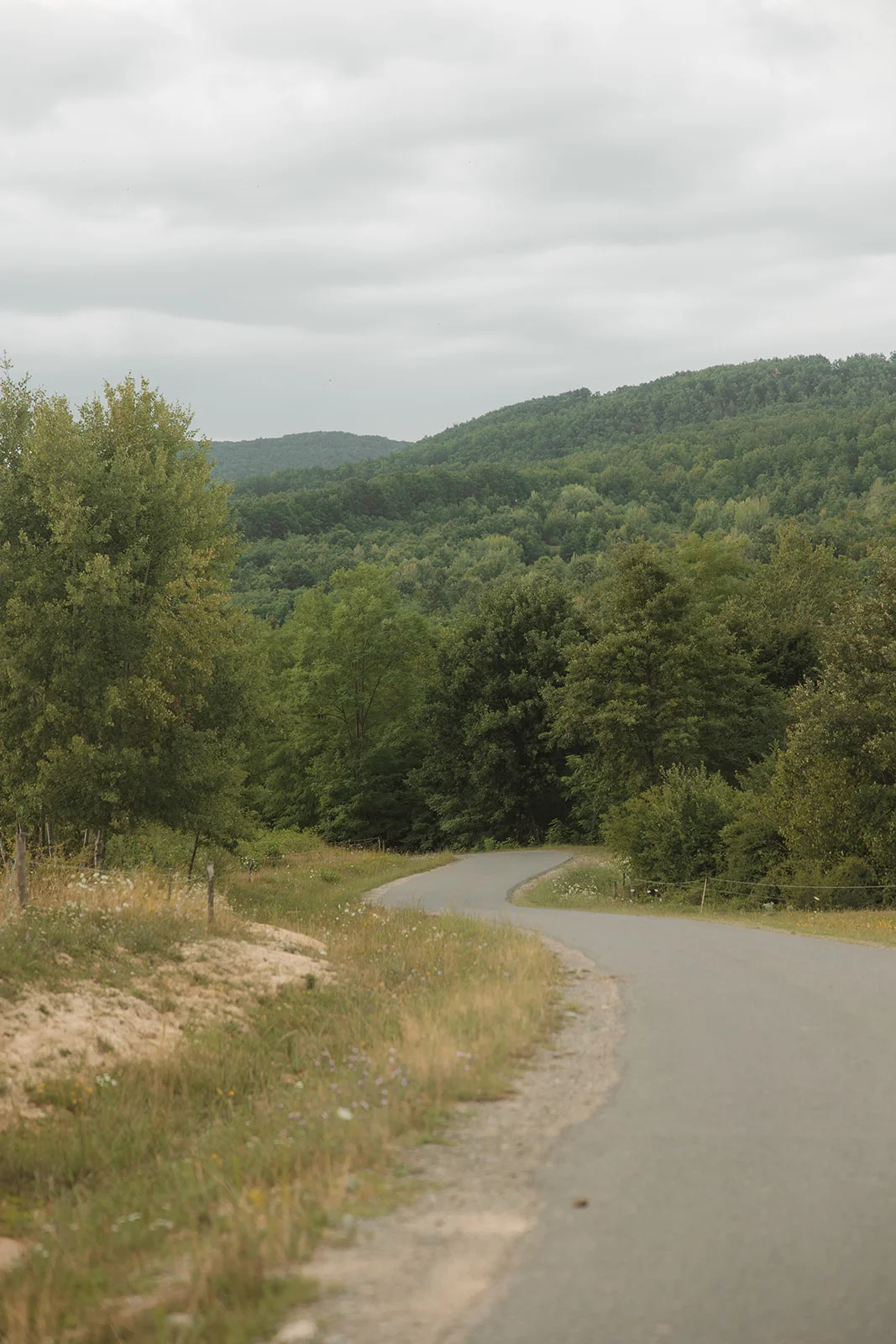 La Pomme - Fotografie 67