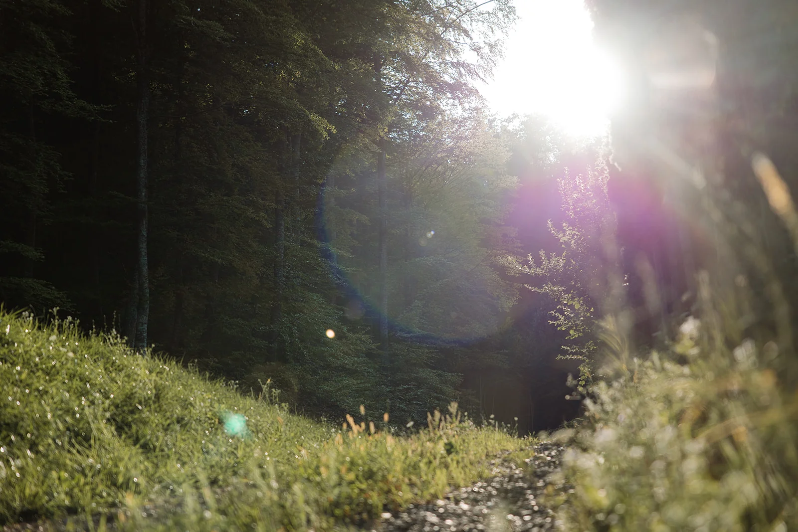 La Pomme - Fotografie 68