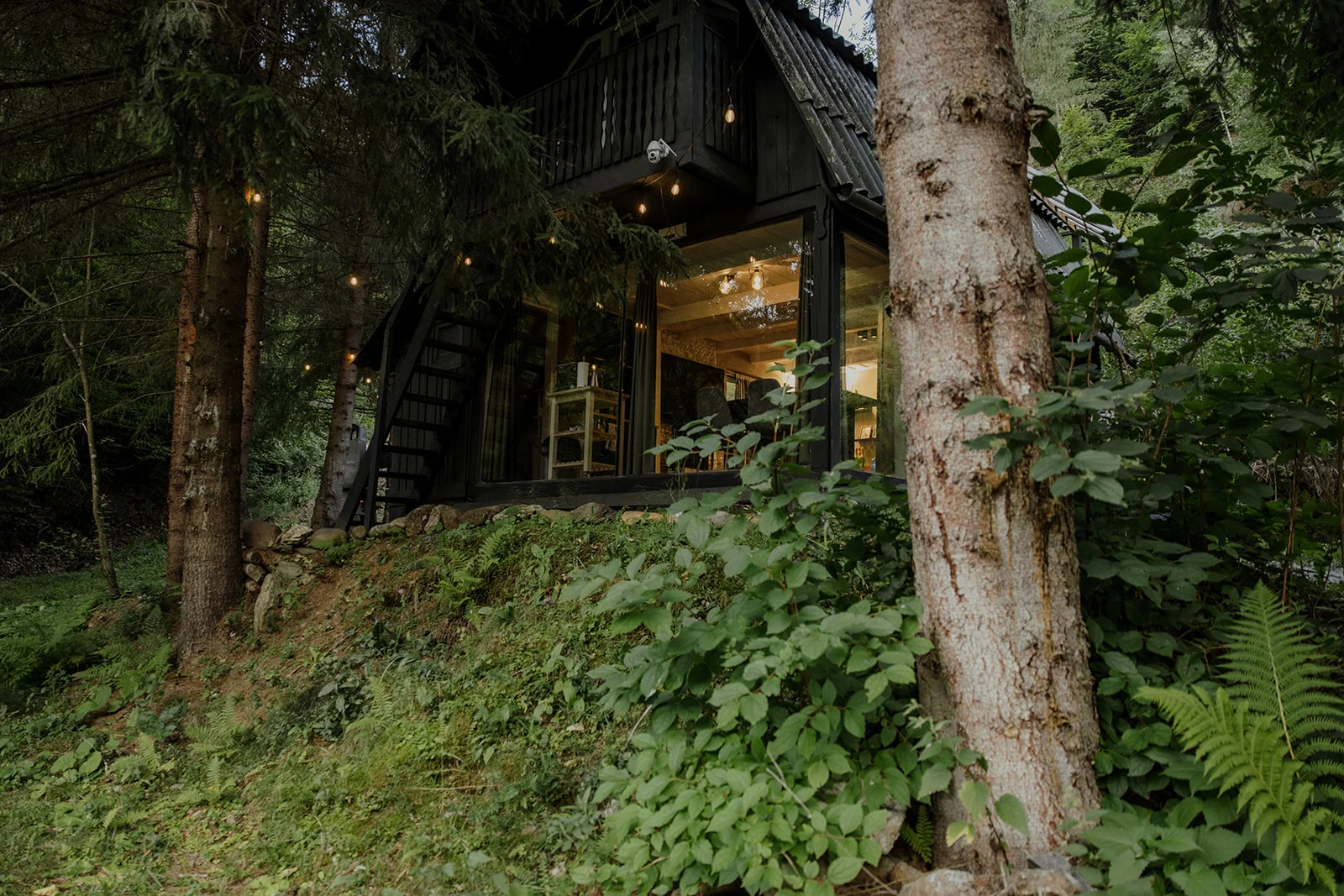 Sturzul Negru - Fotografie 2