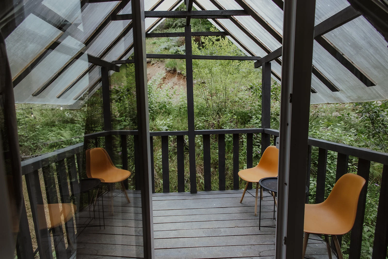 Sturzul Negru - Fotografie 17