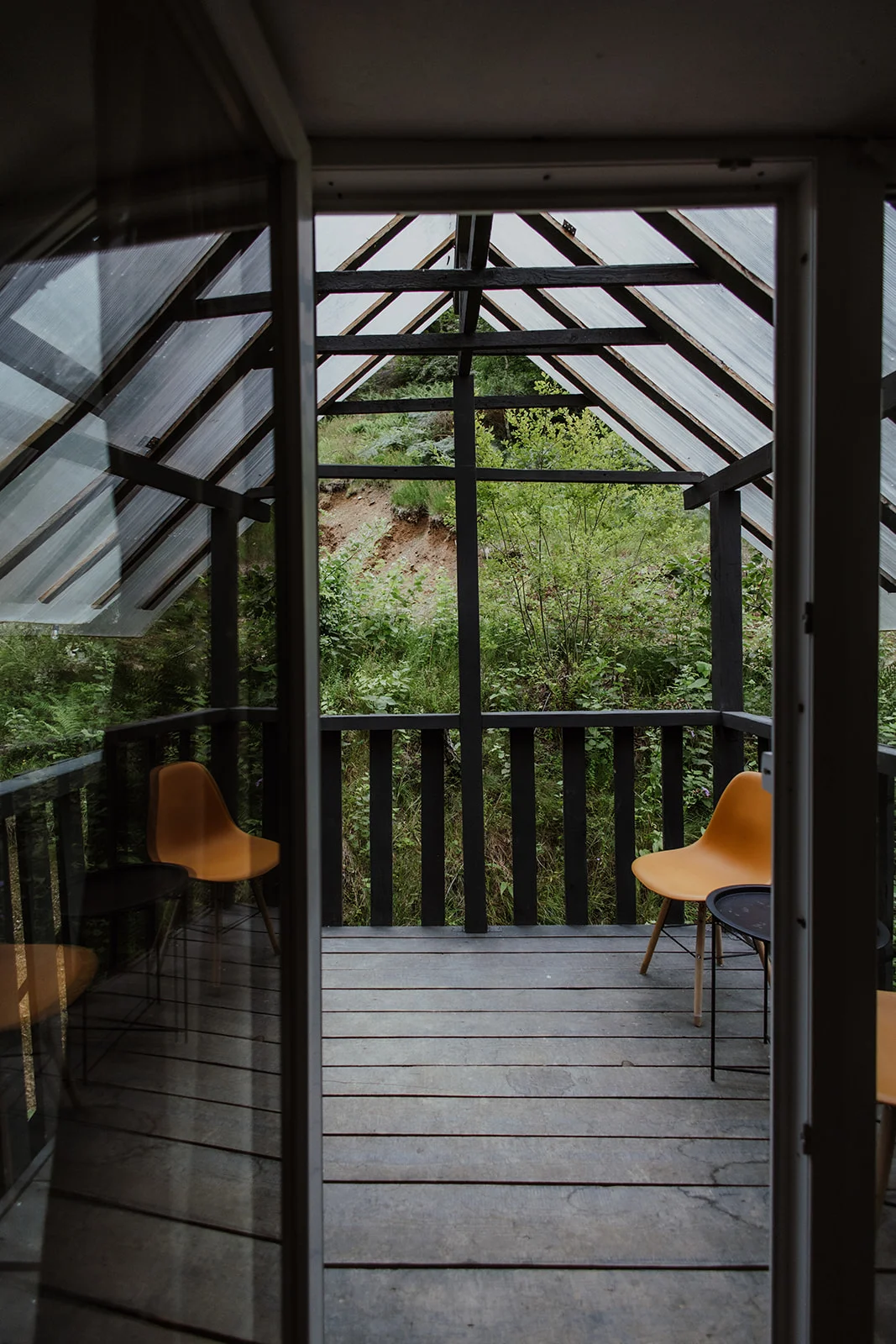 Sturzul Negru - Fotografie 18