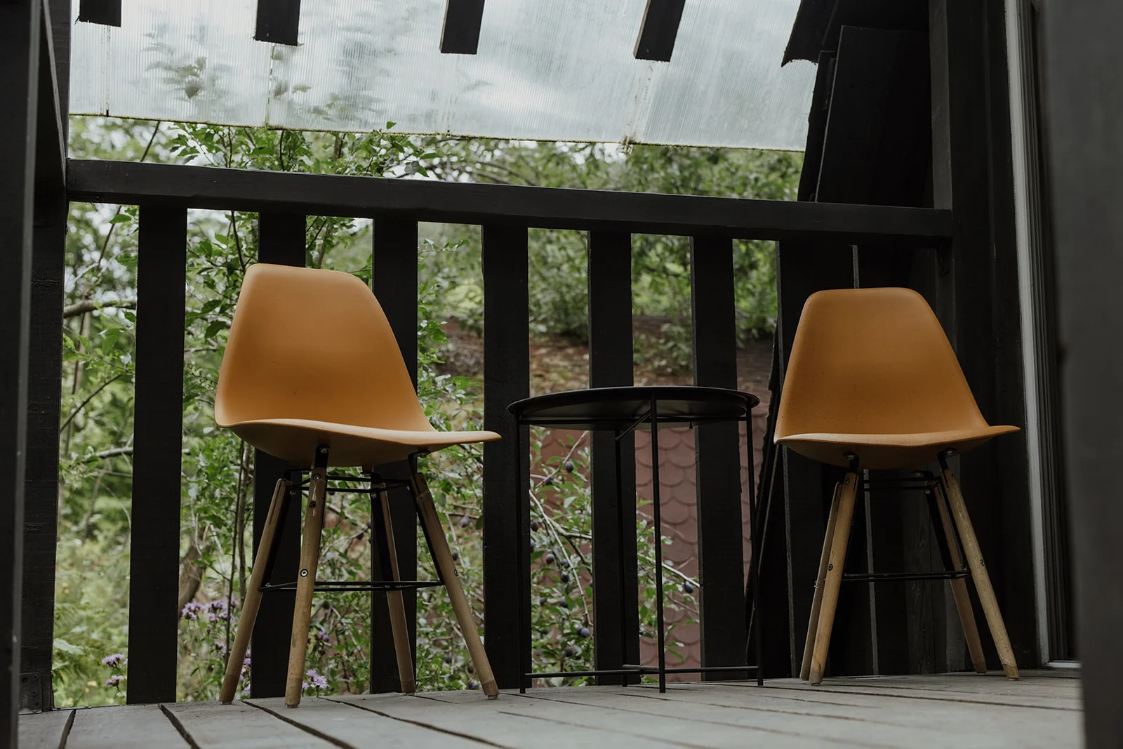 Sturzul Negru - Fotografie 19