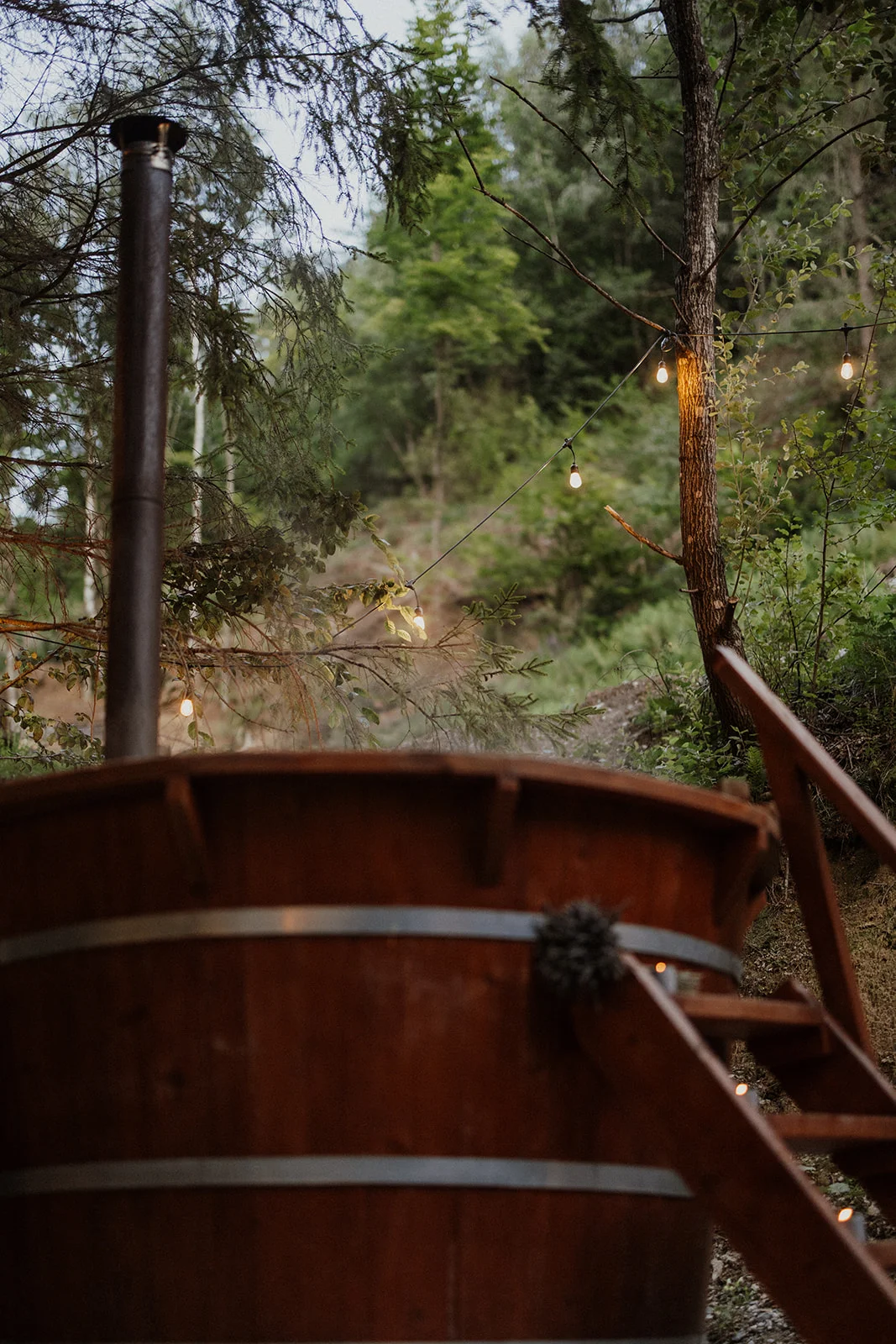 Sturzul Negru - Fotografie 35