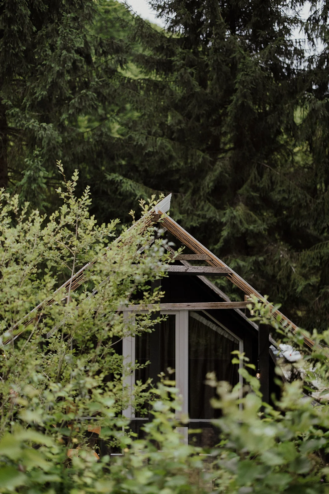 Sturzul Negru - Fotografie 38