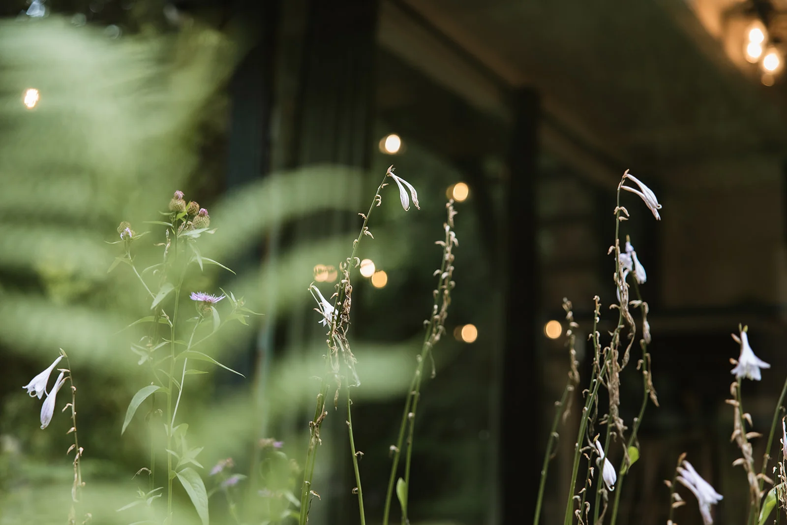 Sturzul Negru - Fotografie 41